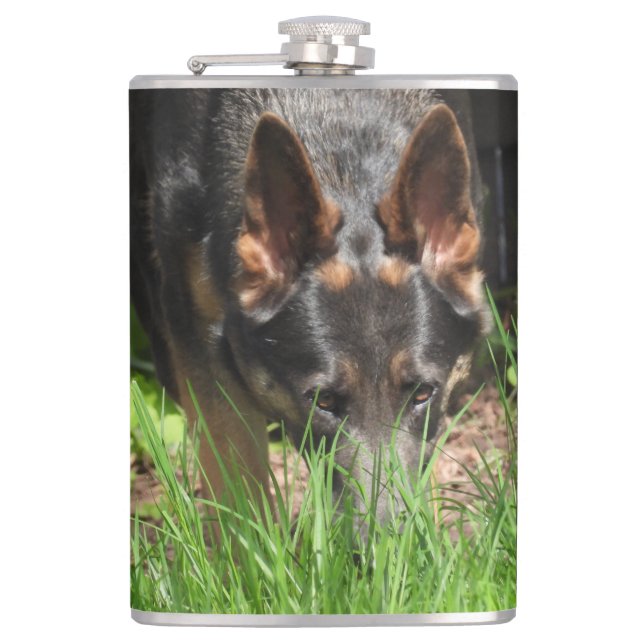 Cantil German shepherd Stare Woodchuck Scare (Frente)