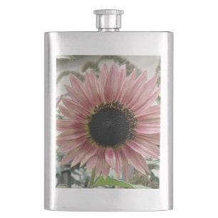 Cantil Girassol rosa pálido