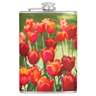 Cantil Grande campo de tulipas vermelhas