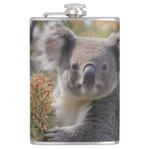 Cantil Grevillea Koala Bear