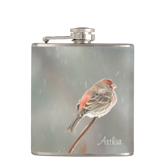 Cantil House Finch em uma filial (Frente)