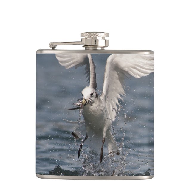 Cantil Hovering Kittiwake (Frente)