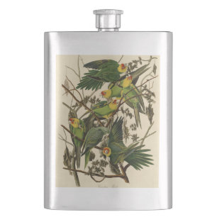 Cantil Ilustração de Ave de Papagaio da Carolina de Audub