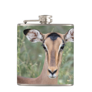 Cantil Impala Portrait