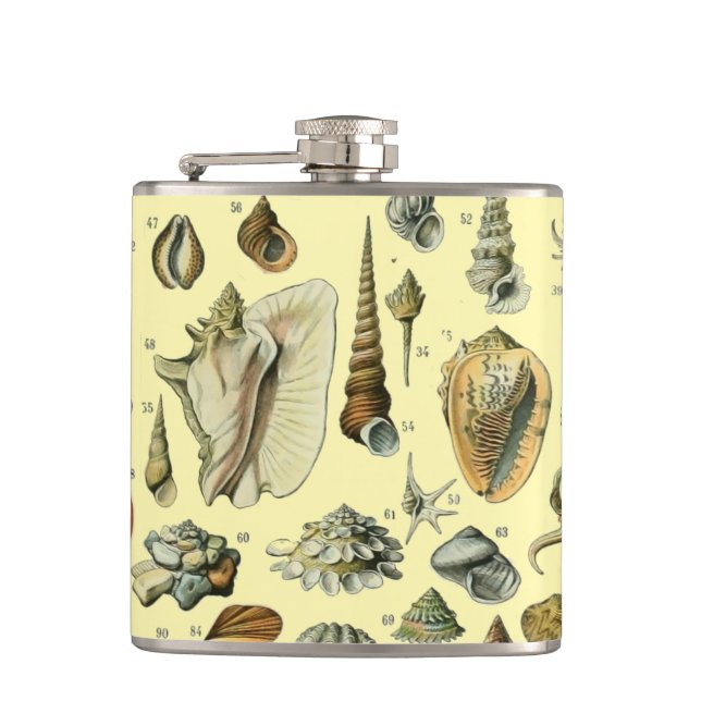 Cantil Impressão de Conchas Vintage Adolphe Millot Costei (Frente)