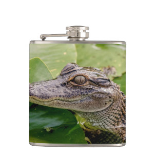 Cantil Jovem Alligator