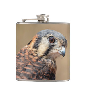 Cantil Kestrel Americano