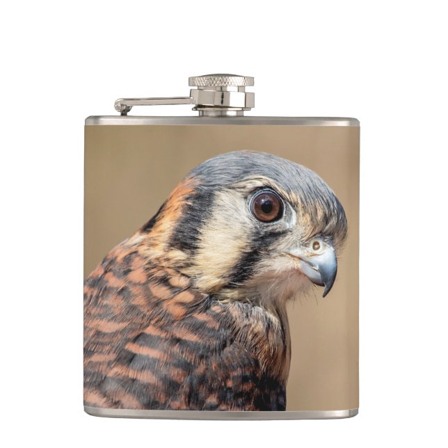 Cantil Kestrel Americano (Frente)