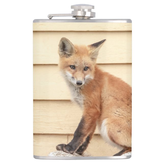 Cantil Kit de Raposa Vermelha no Vale do Hudson (Frente)