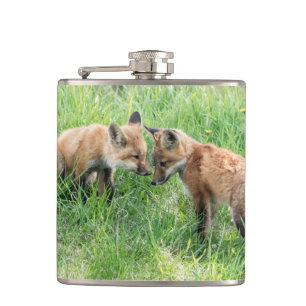 Cantil Kits de Raposa Vermelha