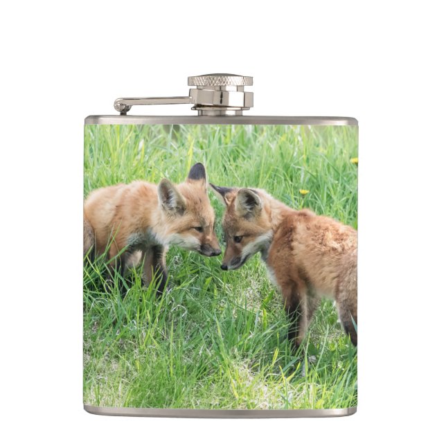 Cantil Kits de Raposa Vermelha (Frente)