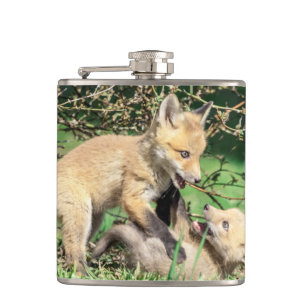 Cantil Kits de Raposa Vermelha Reproduzindo