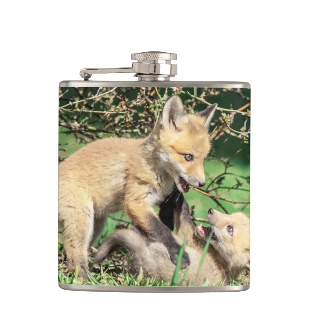 Cantil Kits de Raposa Vermelha Reproduzindo (Frente)