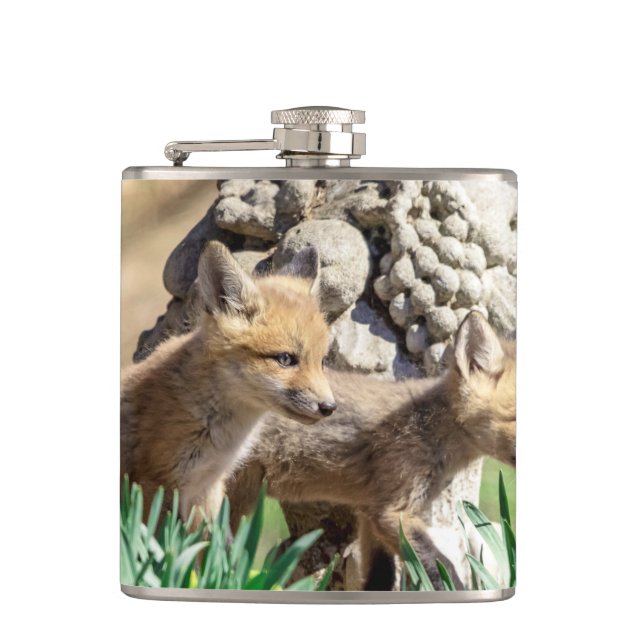 Cantil Kits Fox no Vale do Hudson (Frente)