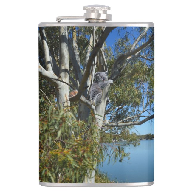 Cantil Koala Bear Dormindo Na Árvore De Goma. (Frente)