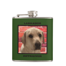 Cantil Labrador de Labrador Amarelo bonito