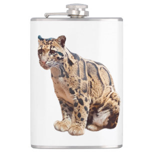 Cantil leopardo nebuloso fotografia selva grande gato ani