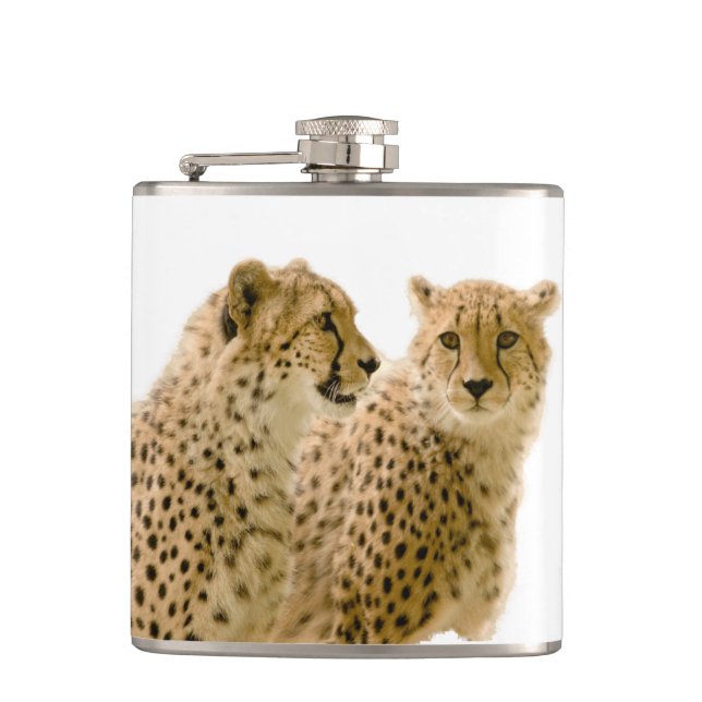 Cantil Linda Foto De Gato De Cheetah (Frente)