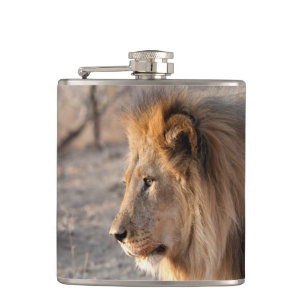 Cantil Lion Portrait