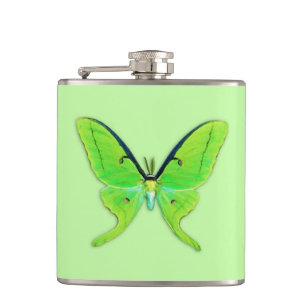 Cantil Luna moth com um fundo verde pálido