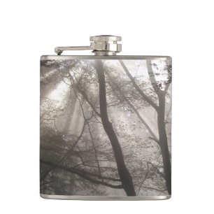 Cantil Luz do Sol Através de Árvores Floresta Escura