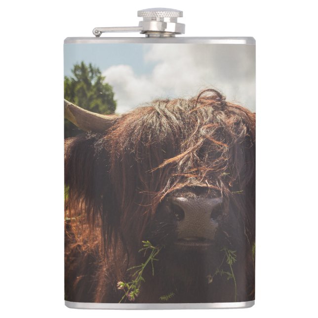 Cantil Luz verde do campo verde da vaca em lata negra (Frente)