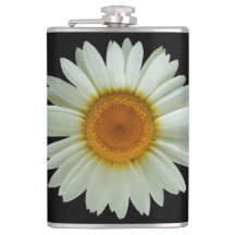 Margarida branca do verão no preto