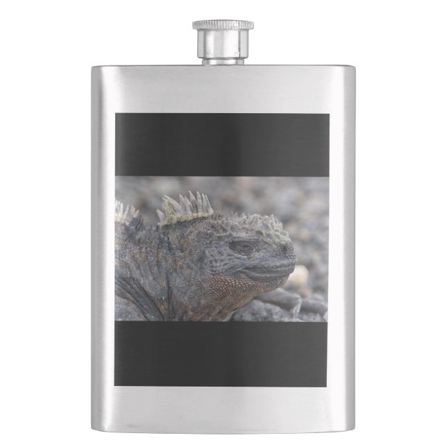 Cantil Marine Iguana (Frente)