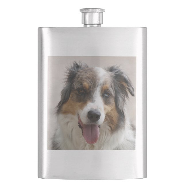 Cantil merle aussie (Frente)