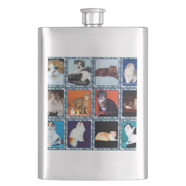 Cantil mural de scottish fold (Frente)