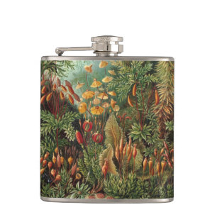 Cantil Muscinae Antigos, Plantas de Musgo por Ernst Haeck