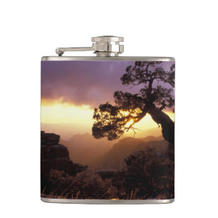 Cantil NA, EUA, Arizona, Tucson, Pôr do sol e solitária