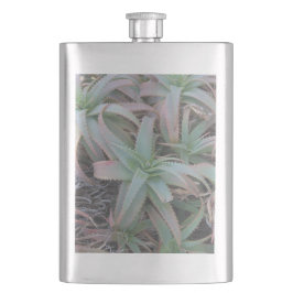 Cantil Nevada suculenta