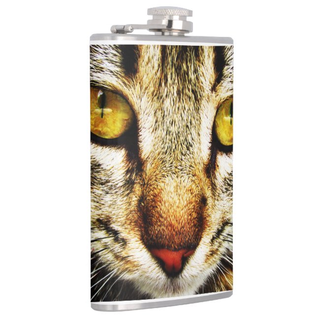 Cantil O olhar expressivo de um gato doméstico (Direita)