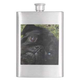 Cantil olhos de cãozinho