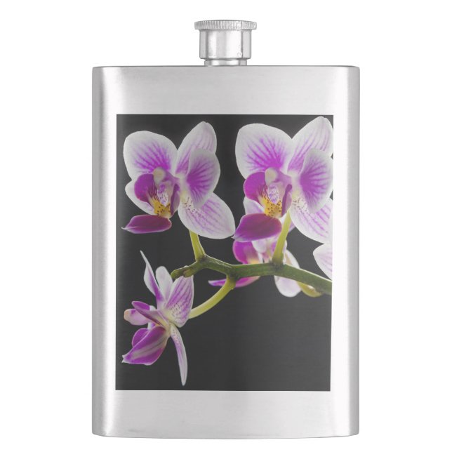 Cantil Orquídea branca e roxa (Frente)