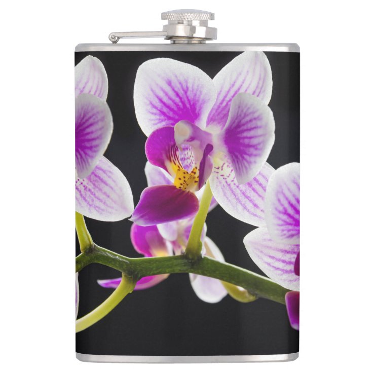 Cantil Orquídea branca e roxa | Zazzle.com.br