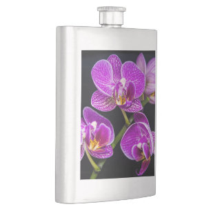 Cantil Orquídea roxa