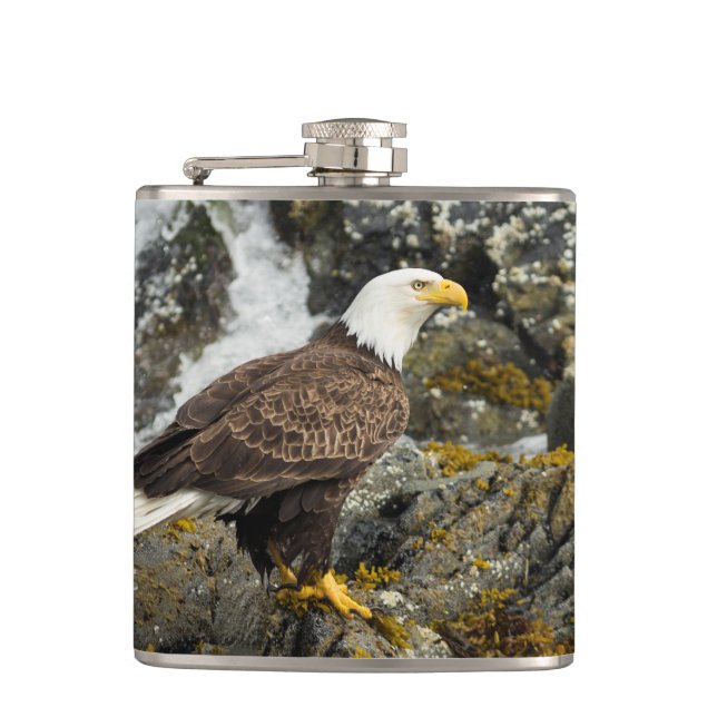 Cantil Ortod Bald Eagle (Frente)