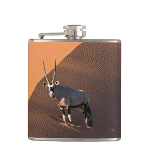 Cantil Oryx na borda, Namíbia