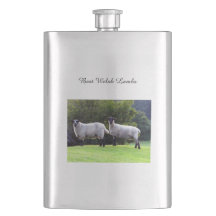 Os melhores galeses.