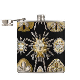 Cantil Ouriços-do-mar Dólares de Areia Vintage por Ernst 