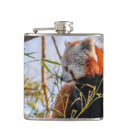 Cantil Panda vermelha