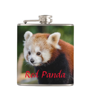 Cantil Panda Vermelho Selvagem 