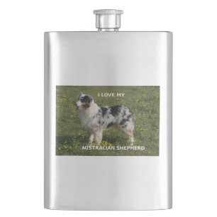 Cantil pastor australiano blue merle amor c/ foto