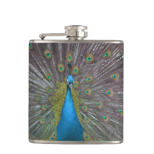 Cantil Pavão Atormentado