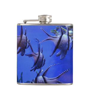 Cantil Peixe-anjo preto e branco no mar azul profundo