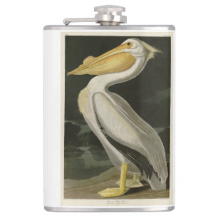 Cantil Pelicano Branco Americano, Aves da América de Aud