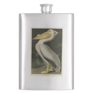 Cantil Pelicano Branco Americano, Aves da América de Aud