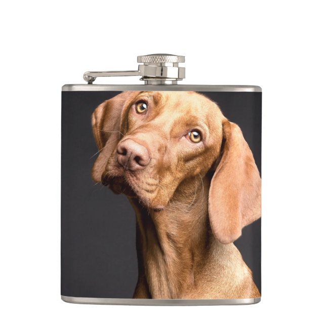 Cantil Pet Brown Beagle Dog (Frente)